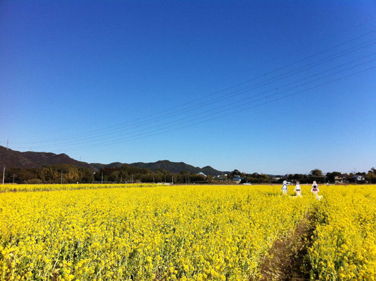 20120218_rinne3.jpgのサムネイル画像