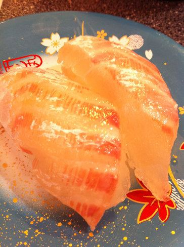 201204_susi2.jpg