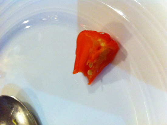 20120516_india_7.jpg