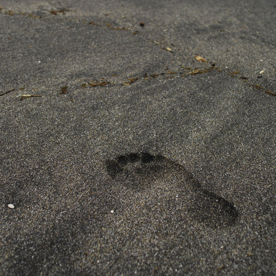 20120519_photo.jpg