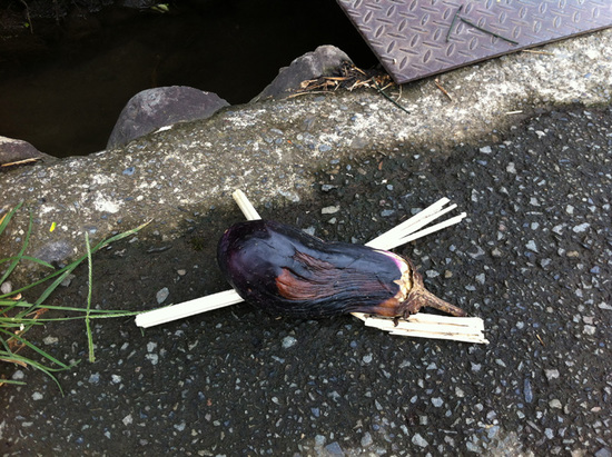 20120805_nasu.jpg