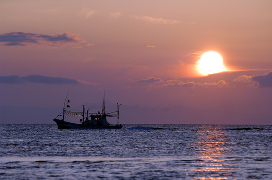20120825_2.jpg