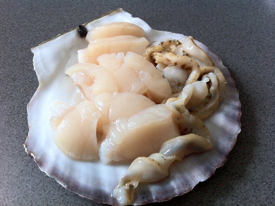 20120915_hotate.jpg