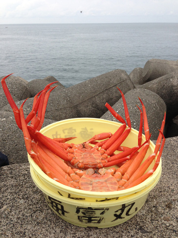 20121006_kani.jpg