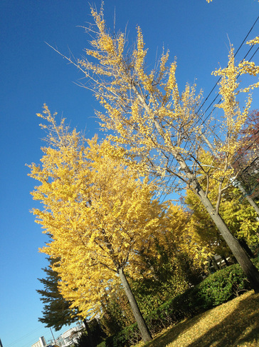 20121118_2.jpg