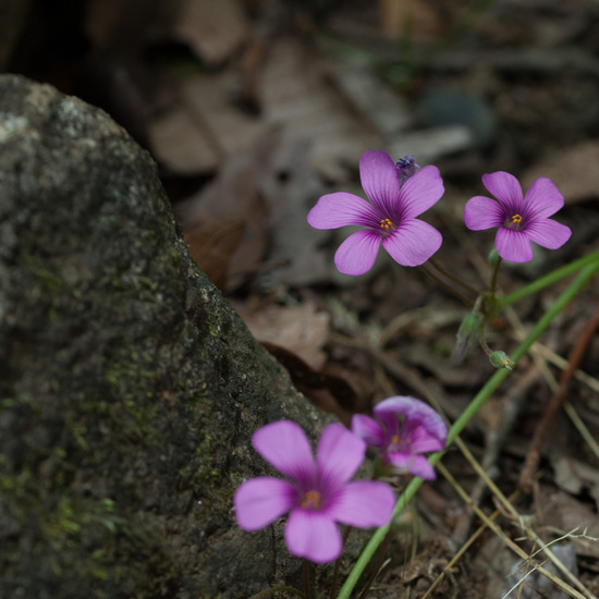 20130601_2.jpg