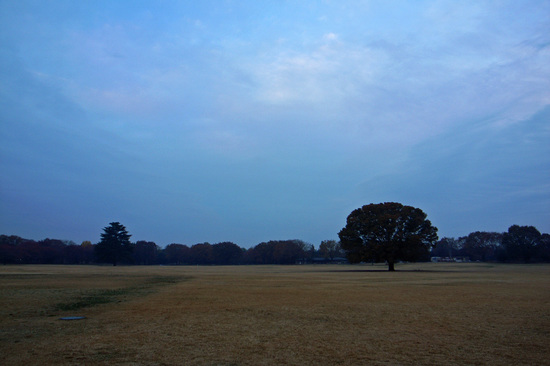 20130601_3.jpg