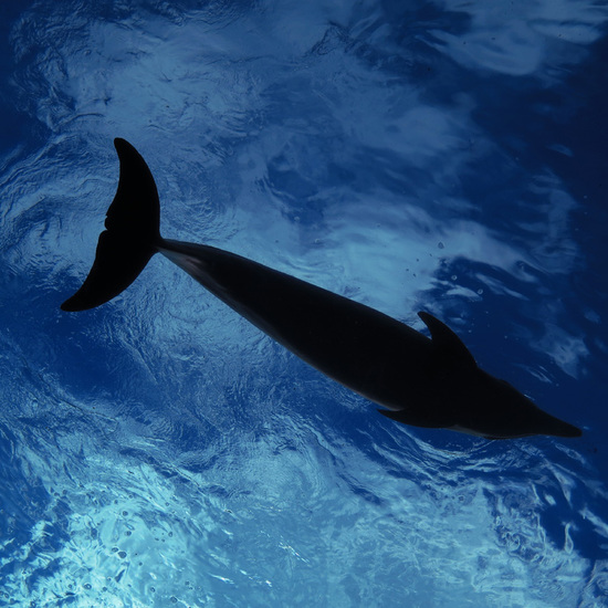 20130615_1.jpg