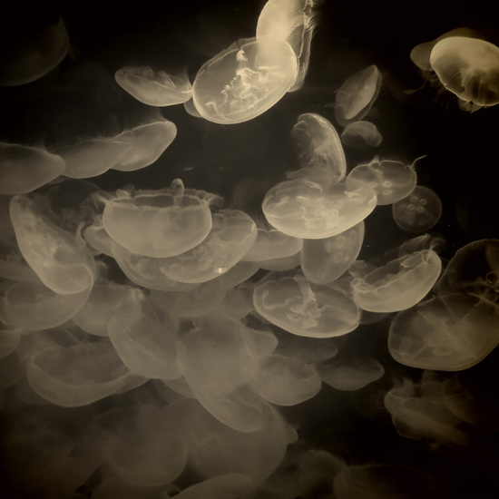 20130615_2.jpg
