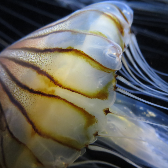 20130615_3.jpg