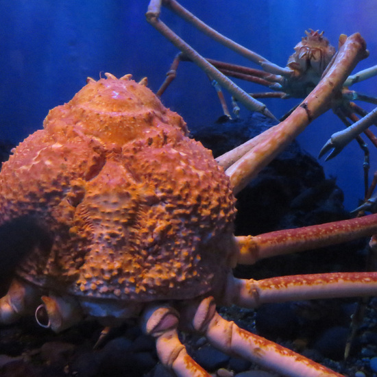 20130615_4.jpg