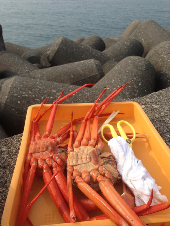 20130630_kani.jpg