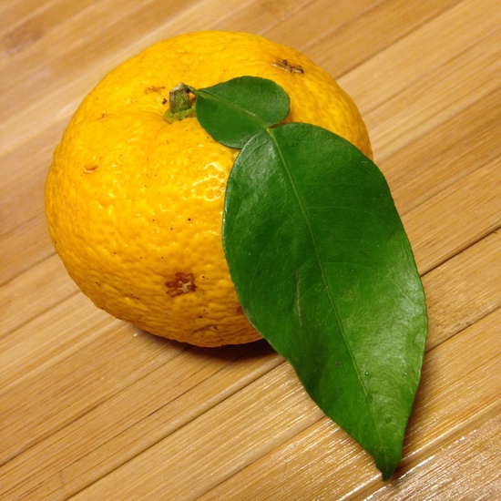 20131222_3.jpg