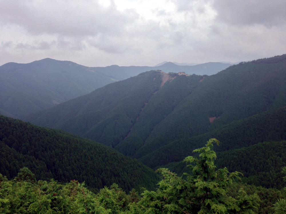 20140826_19.jpg