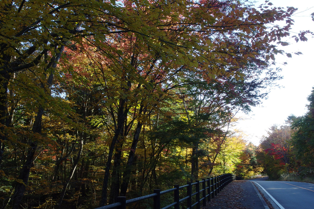 20141103_3.jpg