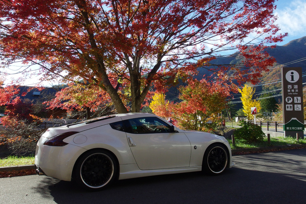 20141103_4.jpg