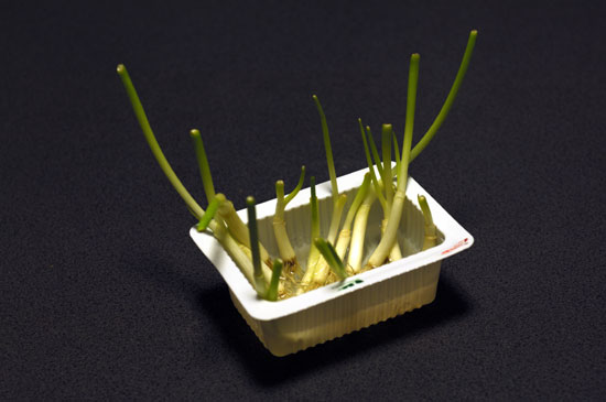 20120227_DSC0714.jpg
