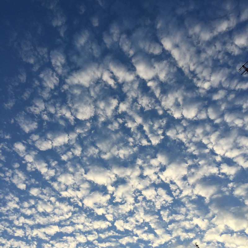 20141122_1.jpg